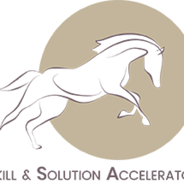 Skill Solution Accelerator - Image